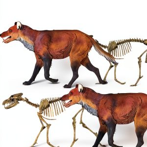 Dinosaur Fossil Guide Kindle Edition Prehistoric Animals Series by XYZ-0