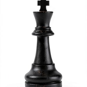 Amazon Kindle Store Chess Book for Beginners, 46 Pages, English,-0